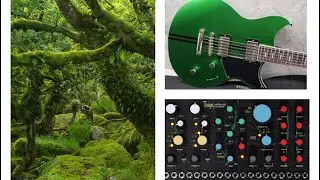Moss - a walk in the forest with Pittsburgh Taiga and Yamaha Revstar