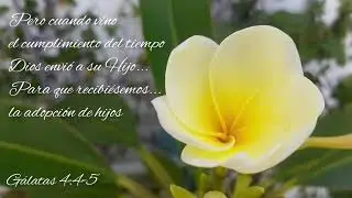 CLIC PARA MUJERES - Haciendo planes... como hijos