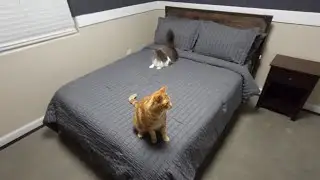 8 piece bed set unboxing | Hymokege full bed set