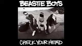 Beastie Boys ~ CHECK YOUR HEAD. ( 1992 Album. )