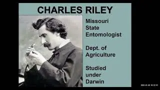 History of Missouri Wines and Wineries with Doug Schneider