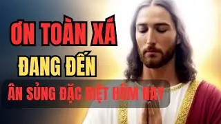 Ơn toàn xá đang đến gần – đừng bỏ lỡ lời cầu nguyện đêm nay | Lòng Chúa Thương Xót