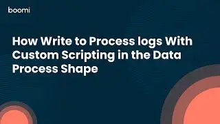 How Write to Process logs With Custom Scripting in the Data Process Shape
