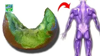 Here's Why You Should Eat The Kiwi Skin