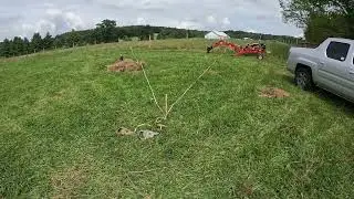 Laying out the Vineyard