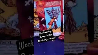 BOOGSCHUTTER WEEKREADING!
