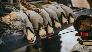 Gypsy Trip Chukar Hunt