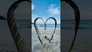 Zenify Music - Relax with your lover