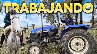 As&iacute; es la REALIDAD del TRABAJO en el CAMPO URUGUAYO
