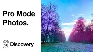 Taking Photos with Pro Mode | Autumn Winter Photography Tips | Three Discovery (2020)