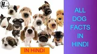 ALL Dog Facts | Hindi | Dog Facts | HINGLISH FACTS