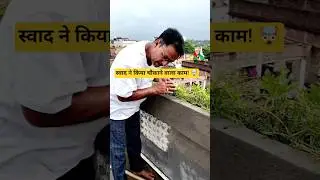 🤯स्वाद ने किया चौकाने वाला काम!#viralvideo #trendingshorts#ytshort #viral#review#terracegarden#love