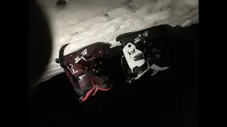 Tips and Tricks on Sled Dogs!