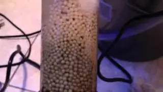 Phosban reactor 150 NPX media