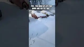 Худшее чувство #carshorts #cars #funny #winter #memes #carmemes #funnyshorts #viral #fyp #g70