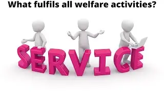 What fulfils all welfare activities?