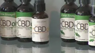 Healing with hemp: Local 10 News investigates a new kind of pot