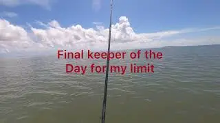 Quick red fish limit in green island ( arroyo city tx)