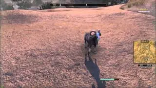 Dragontail Goat 