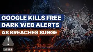 Google Kills Free Dark Web Alerts: What You Need to Know