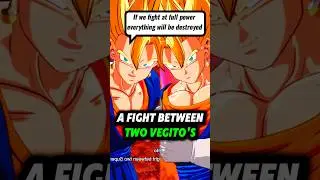 A Fight Between Two Super Vegito's