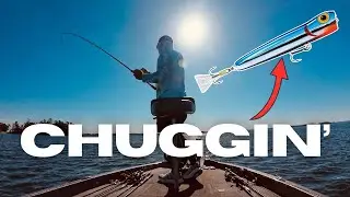 HOT Fall Topwater Bite! - Clarks Hill Chug Bug Action