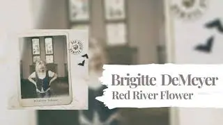 Brigitte DeMeyer - Looking for Moses