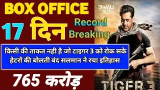 Tiger 3 Box Office Collection | Tiger 3 16th Day Collection, Tiger 3 17th Day Collection, Salman
