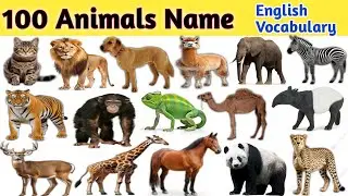 100 Animals Name in English Vocabulary | जानवरों के नाम अंग्रेजी में | Animals Name with pictures