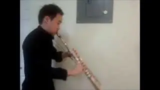 Fantasia, 3rd mvmt. excerpt - Villa Lobos
