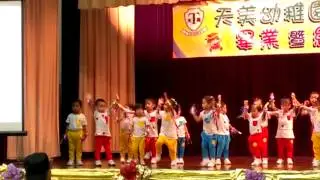 VIDEO0319