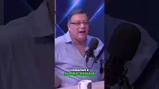 A Verdade Sobre a Gl&acirc;ndula Pineal e Chakras