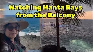 Watching Manta Rays from the Balcony - Outrigger Resort and Spa // Kona Big Island