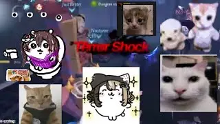 TEST DONT WATCH