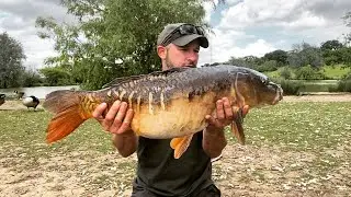 Surface fishing for carp with bread at         Tylers common fishery