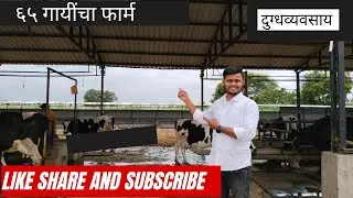65 cattle shed//cow buffalo farming// 65cattle shed management// gotha ​​structure// how to make a cowshed 👆👆