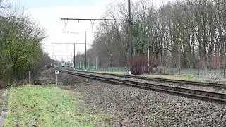 Lineas HLE 1313  in Mortsel op 14-1-2026.