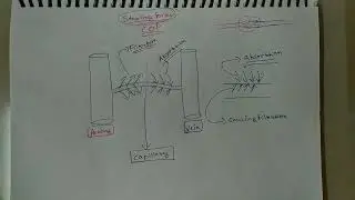 Blood Physiology for mbbs 1st year... part-4.....starling forces and COP #mbbs #medicine #medschool
