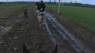 Croome & West Warwickshire - 16th January 2018
