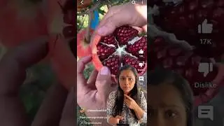 Have you ever tried this pomegranate peeling hack?😍#hack #kitchenhacks #kitchentips #pomegranate