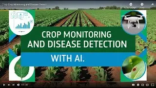 Crop Monitoring and Disease Detection with AI