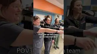 There&rsquo;s NO male vet techs #shorts #vetmed #vettech