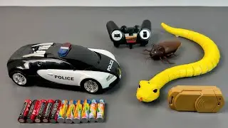 Unboxing & Testing High Speed RC Police car vs Animal Paradise RC Snake vs RC Giant Roach