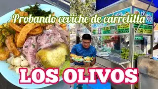 PROBANDO CEVICHITO CARRETILLERO EN LOS OLIVOS | Primera de Pro @Wariqueando