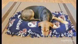 How To Make A Dog Bed Without Sewing