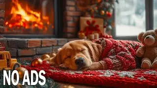 12 часов успокаивающей музыки для собак 🐕&zwj;🦺 Успокоение для щенков и нежная колыбельная для сна 💖