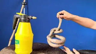 M511 gl c&oacute;c chua 100k LH 0707713796 Khương bonsai 