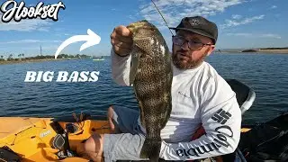 fishing mission bay for spotted bay bass and halibut