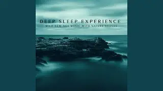 Evening Relax