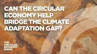Can the circular economy help bridge the climate adaptation gap?